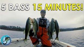 How to Pattern Fish for Bass | This Video Will Change How You Fish