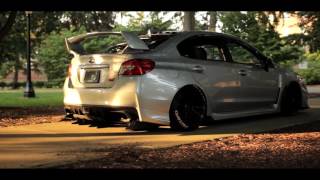 StaticMob | Tarzan's STI