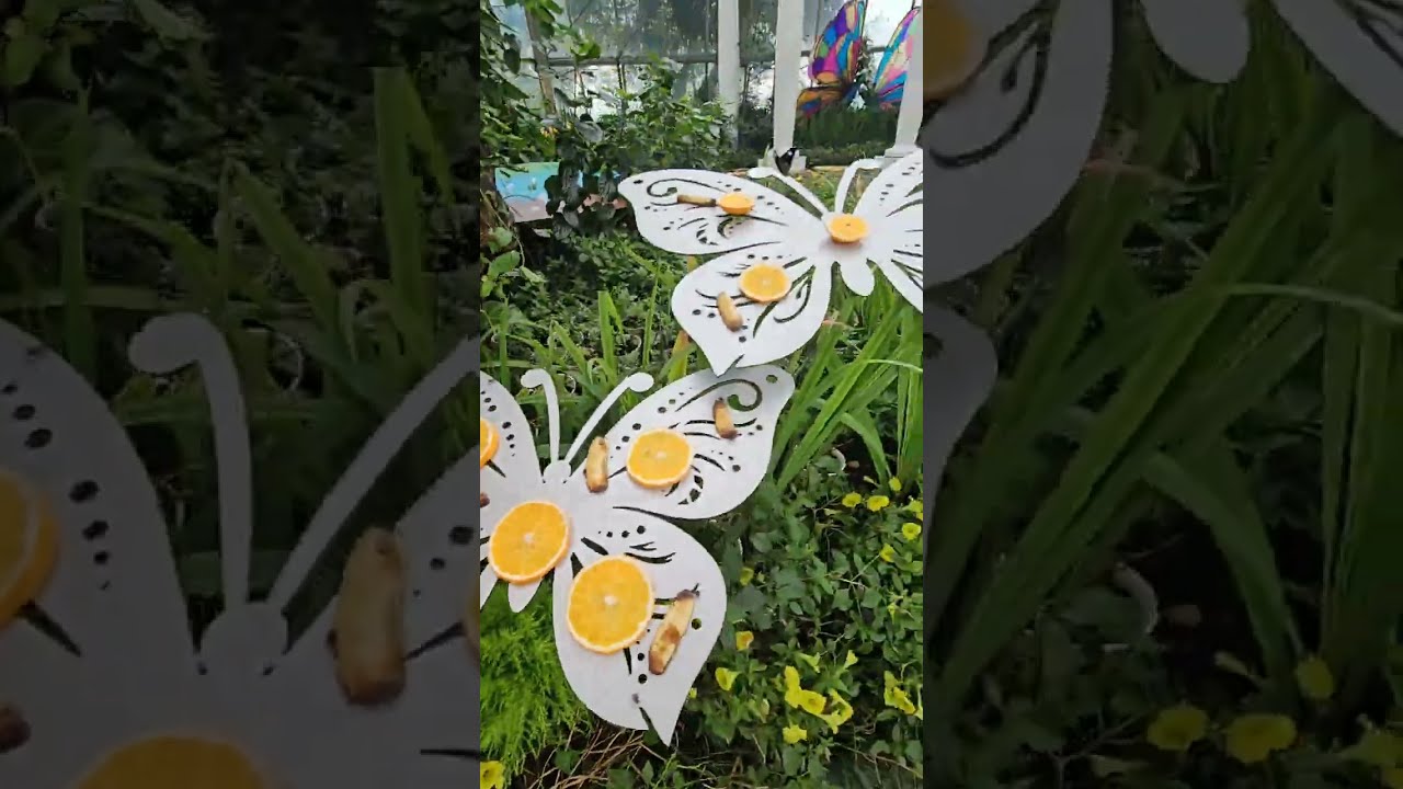 133. VinPearl Вьетнам город Нячанг.