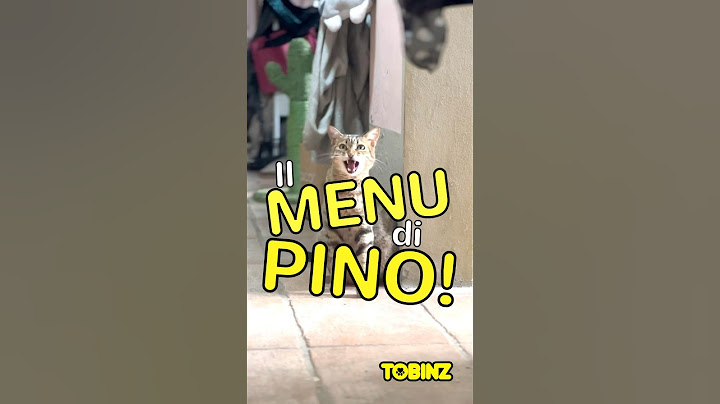 Il MENÙ di PINO! Siamo tutti maggiordomi 🎩
