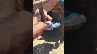 HydroRain Bluelock Use On Subsurface Drip Installation
