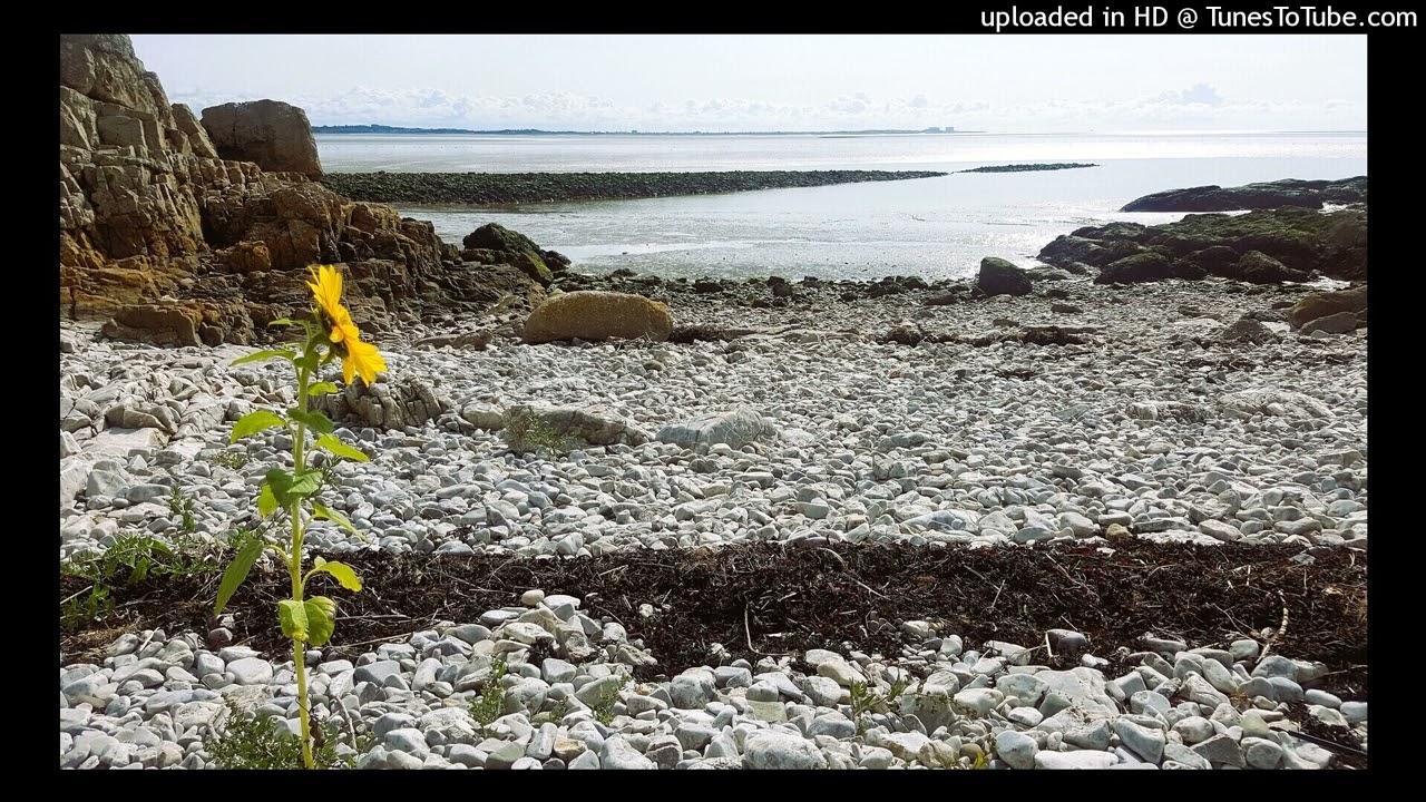 Lenny White - The Venusian Summer Suite Pt. 1 - Sirenes