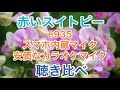 三つのマイク聴き比べ。e935、スマホ内蔵マイク、安価なカラオケマイク『赤いスイトピー』