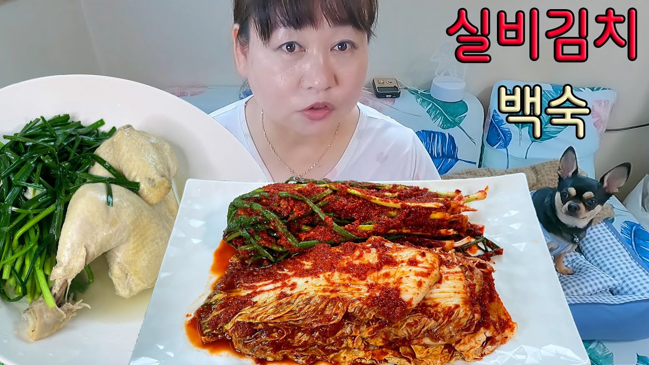 정말 매운🔥 대전선화동 실비김치🔥 백숙 부추쌈 먹방 MUKBANG
