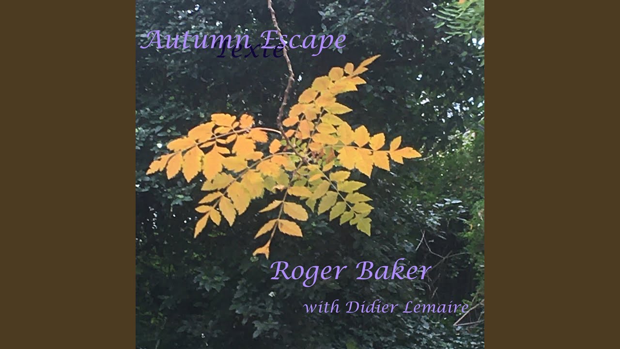 Can a cock a doodle do? (with Didier Lemaire)