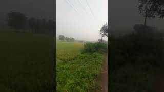 Gori to gain ✨️  💛 ~  natural village  ✨️ 💖  vedio #@