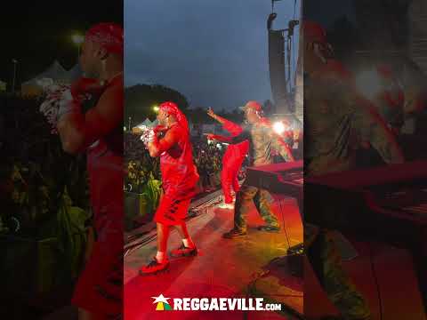 The STEEL PULSE way to say goodbye to Reggae Geel 2025