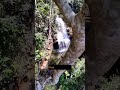 9 días en la Gran Sabana. Parque Nacional Canaima. #gransabana