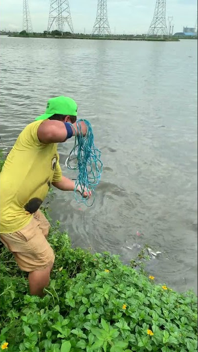 Amazing Asian Cast Net Fish Catching Big Fish ( cast net fishing ) #125