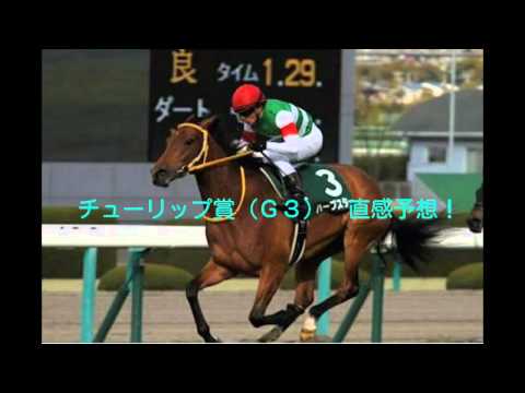 チューリップ賞（Ｇ３）　直感予想！