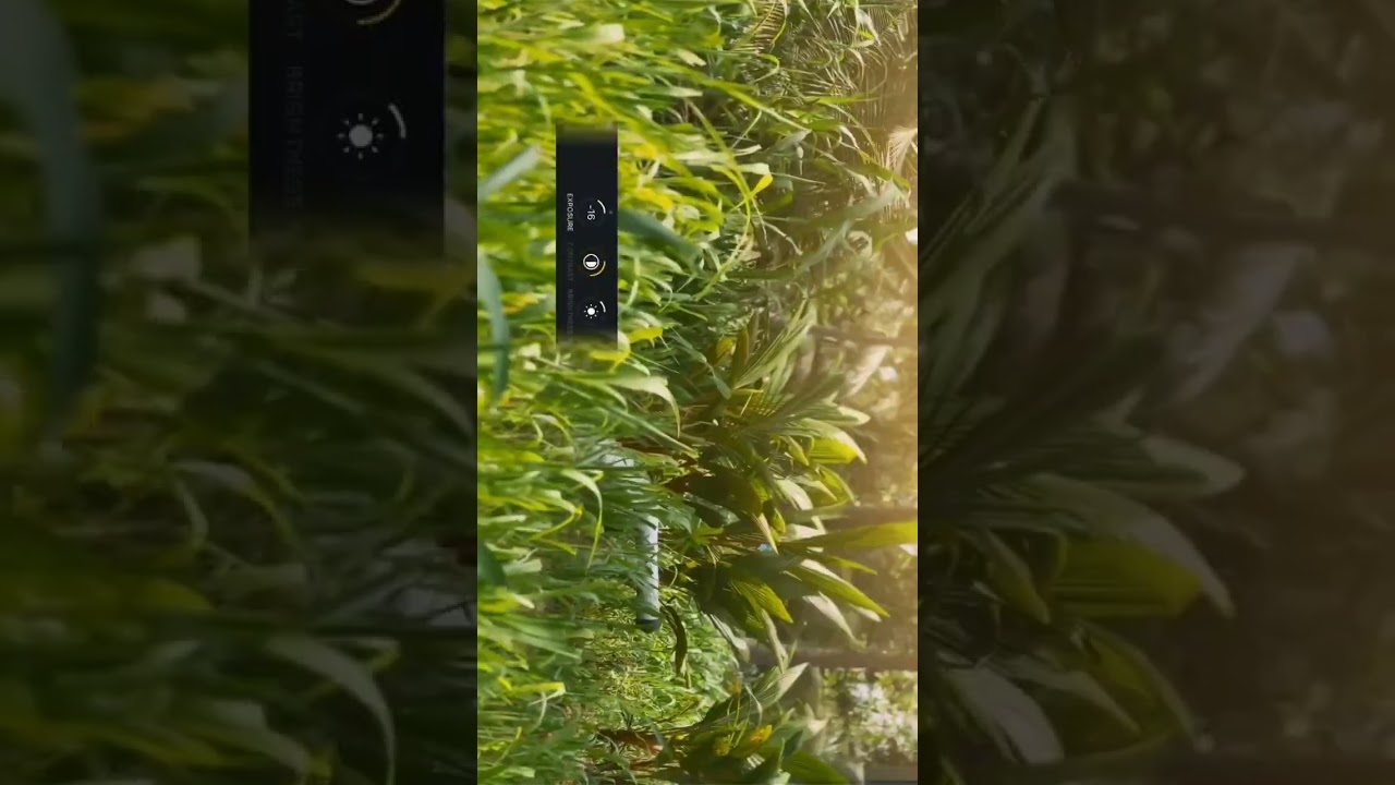 vn tutorial colour grading 🖌️ 