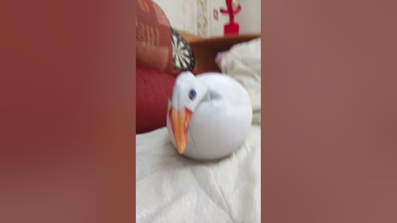 я гусь мама утка смотри - YouTube