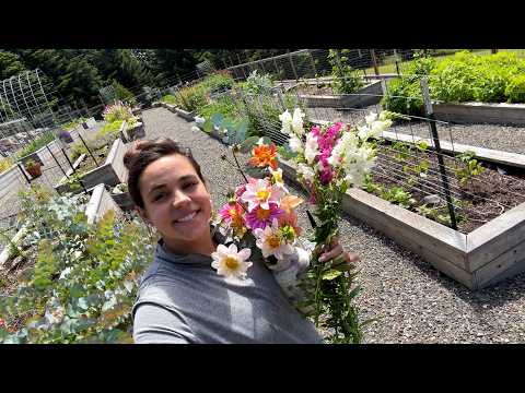 Full June Garden Tour: What’s Thriving, What Failed, and What Surprised Me
