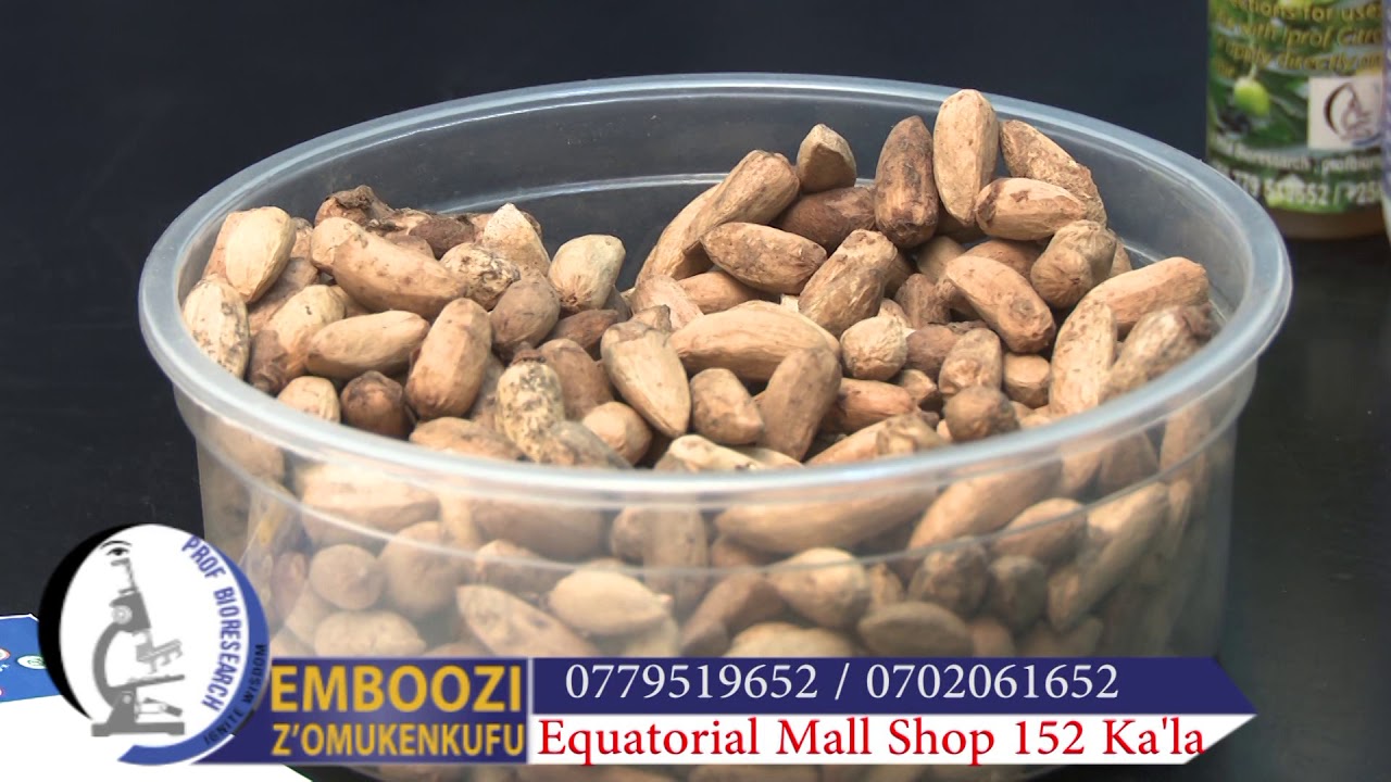 PROF BIORESEARCH EMBOOZI Z`OMUKENKUFU NATURAL FAMILY PLANNING (NEEM OIL) PART THREE