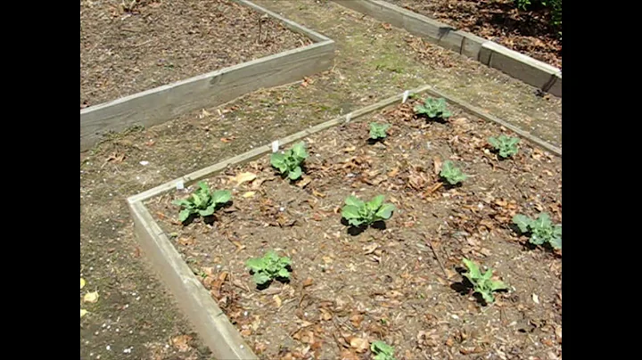 May 2019 Spring Garden Tour