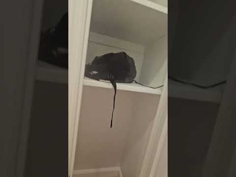 2-Bed Apartment for Rent in Upper East Side, Manhattan NY