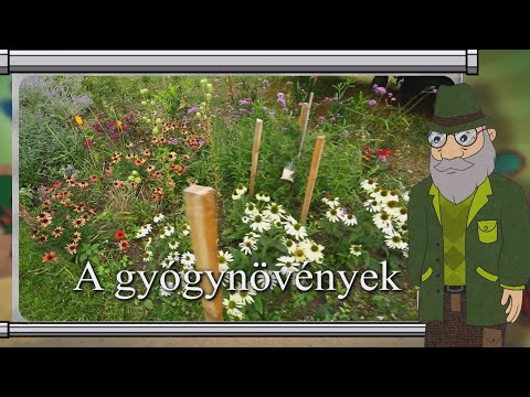 Erdő Ernő bácsi meséi - A gyógynövények