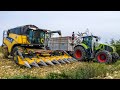 New holland cr960 biassiale  dominoni 8 file  scomparin