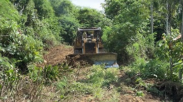 Reviving the Old Road in the Mountain Plantation with a D6R XL Bulldozer