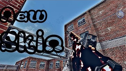 Bullet Force: New Skin