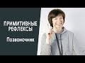 Примитивные рефлексы. Позвоночник.