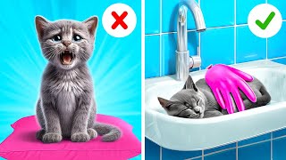Save This Tiny Cat! 😿 *Secret Hacks for Pet Owners*