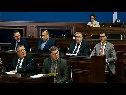 ბიუჯეტის განხილვა