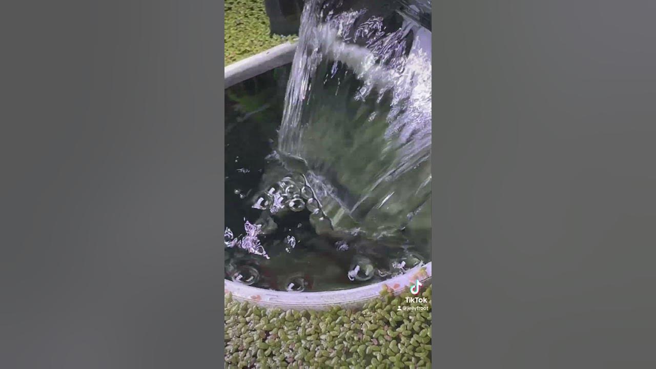 Aquascaping has never been easier