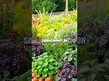 Nature's Bountiful Harvest: Foraging for Sustainable Meals
