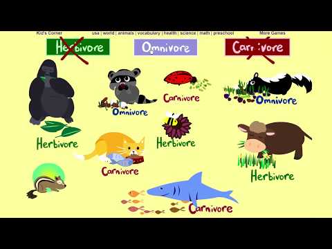 What Do Animals Eat Herbivore Omnivore Or Carnivore Game 2