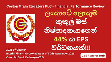What Q3 2025 Numbers Mean for GRAN.N Investors | Ceylon Grain Elevators | CSE Reports Hub