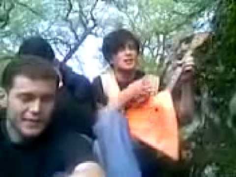 aluda qetelauri roca shens dalalebs qari shlis axali