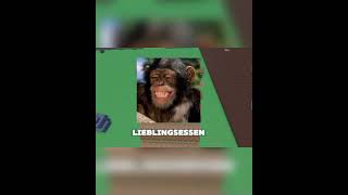 Für welche Schule würdet ihr euch entscheiden? #shorts #robloxdeutsch #roblox #robloxrant ￼