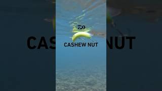 カシューナッツ｜CASHEW NUT