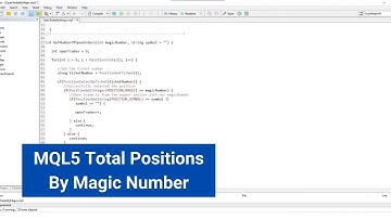 MQL5 - Get Total Positions  by Magic Number