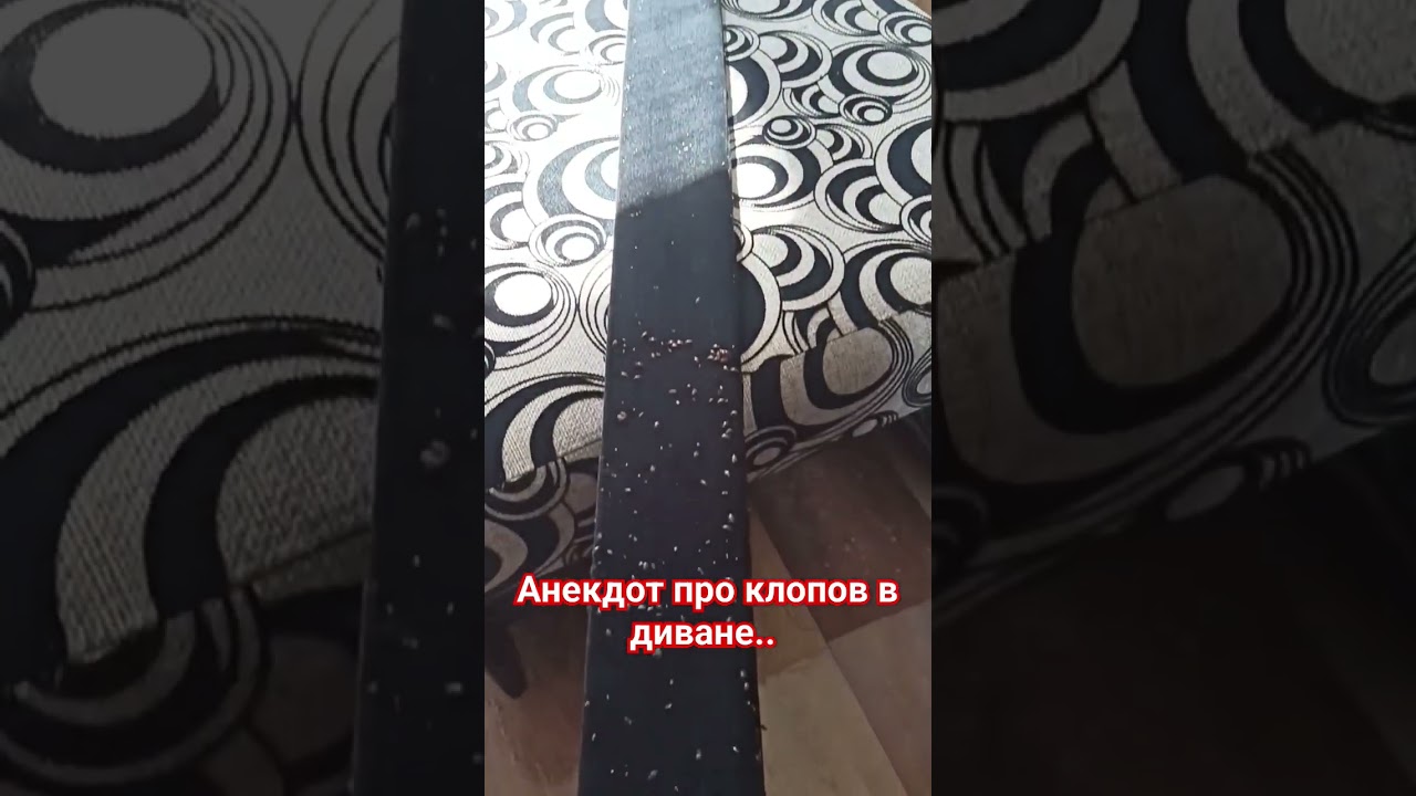 клопы в диване #4 