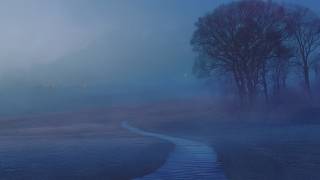 Where Silence Remains | ROOT TIME