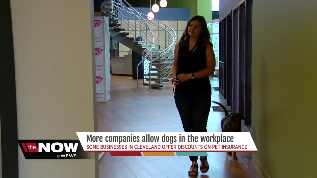 Pets in the Workplace