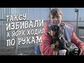 Спасение животных/ Челябинская сосиска и клубок шерсти теперь с нами