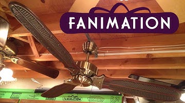 Fanimation Windpointe Ceiling Fan