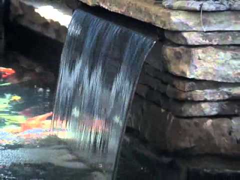 Beital's Aquariums, Aquarium Creation, Pearl River, NY riverdale