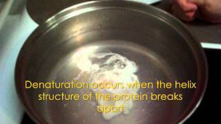 Poaching an egg- Preliminary Food Technology