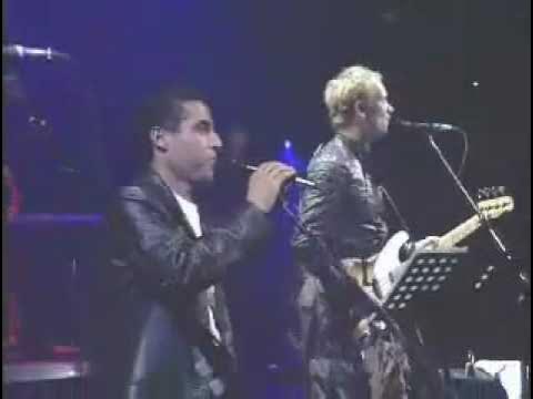 Desert rose live. Desert rose sting, cheb mami. Desert rose live. Desert rose cover faouzia. Desert rose кто поет.