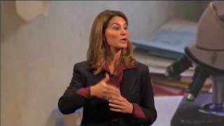 Impatient Optimists: Mother & Child Health | Bill & Melinda Gates Foundation Net Worth