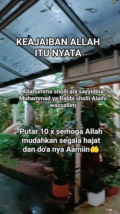 Putar 10 x semoga Allah mudahkan segala hajat  dan do'a nya Aamiin🤲 #shorts