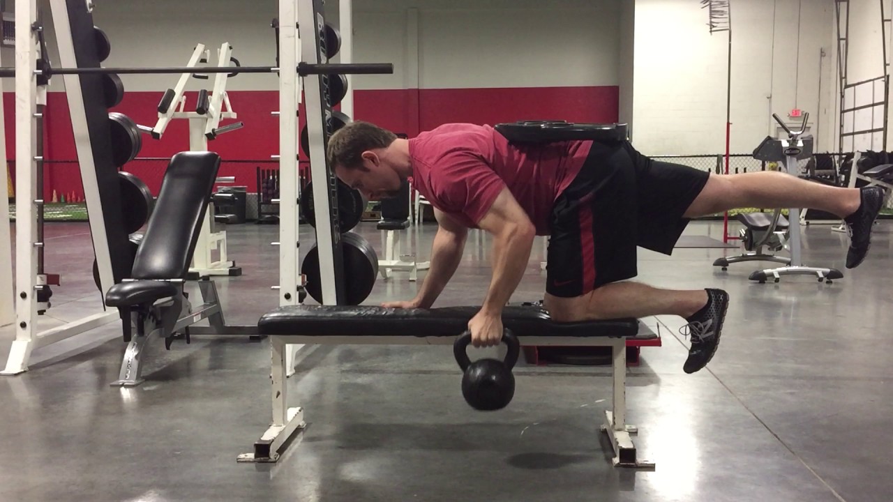 Tabletop Quadruped Bird Dog Row YouTube