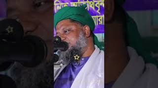 কুরআনের হাফেজ কেন Bangla Shorts video waz আব্দুল কুদ্দুস নিজামী kamalganj Media