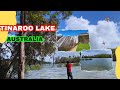 Lake Tinaroo camping point