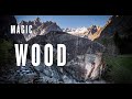 Red Chili Journey Series - Magic Wood (extended version)