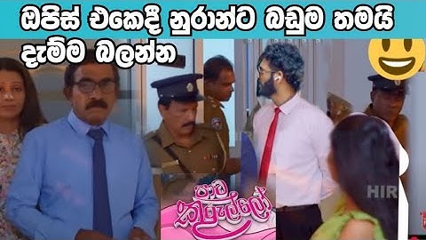 Paata Kurullo - පාට කුරුල්ලෝ | Episode 307 | 2025-07-14 | Hiru TV